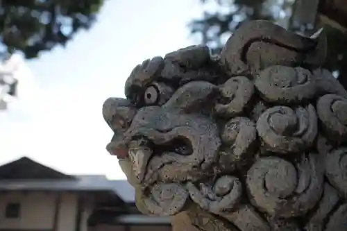 大井俣神社の狛犬