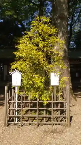 一言主神社(茨城県)