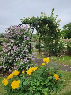 子安神社(茨城県)