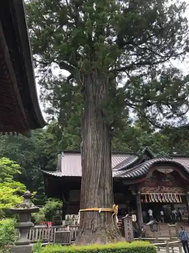 北口本宮冨士浅間神社(山梨県)