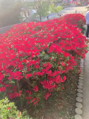 塩船観音寺(東京都)