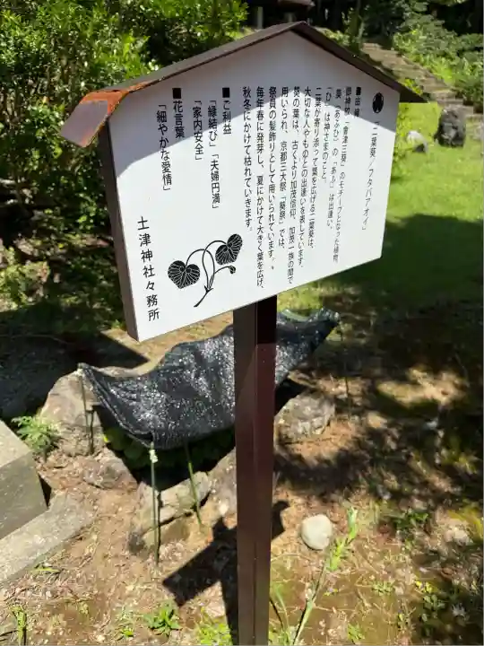 土津神社|こどもと出世の神さま(福島県)