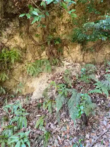 石上布都魂神社の{uncategorized: "未分類", other: "その他", undefined: "問題あり", building: "その他建物", grave: "お墓", sacred_gate: "鳥居", guardian: "狛犬", statue: "像", buddha: "仏像", history: "歴史", nature: "自然", garden: "庭園", animal: "動物", pagoda: "塔", temizu: "手水舎", mountain_gate: "山門・神門", sanctuary: "本殿・本堂", subordinate: "末社・摂社", art: "芸術", scenery: "景色", jizo: "地蔵", ema: "絵馬", goshuin: "御朱印", omikuji: "おみくじ", items: "授与品その他", amulet: "お守り", goshuincho: "御朱印帳", eats: "食事", festival: "お祭り", votive_dance: "神楽", shichigosan: "七五三参", wedding: "結婚式", experience: "体験その他", initially: "初詣", around: "周辺", anti_infection: "感染症対策"}