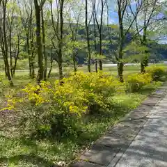 古峯神社の自然