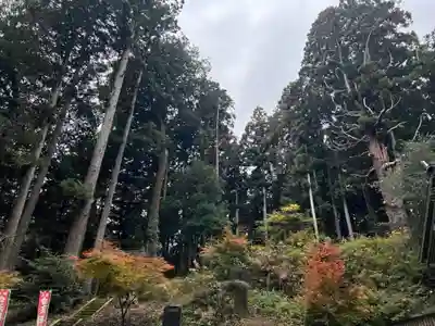 大宮温泉神社(栃木県)