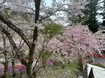 金櫻神社(山梨県)
