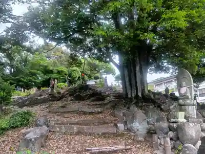 瑞泉寺 身代わり地蔵堂(愛知県)