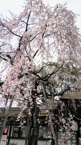 平野神社の庭園