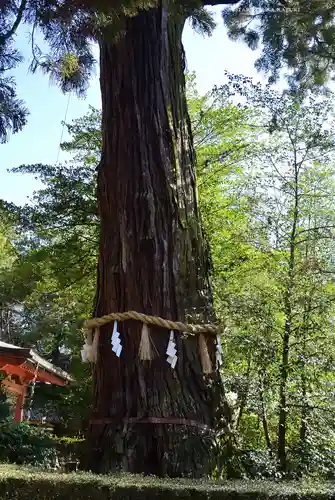 香取神宮(千葉県)
