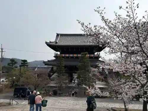 くろ谷 金戒光明寺の{uncategorized: "未分類", other: "その他", undefined: "問題あり", building: "その他建物", grave: "お墓", sacred_gate: "鳥居", guardian: "狛犬", statue: "像", buddha: "仏像", history: "歴史", nature: "自然", garden: "庭園", animal: "動物", pagoda: "塔", temizu: "手水舎", mountain_gate: "山門・神門", sanctuary: "本殿・本堂", subordinate: "末社・摂社", art: "芸術", scenery: "景色", jizo: "地蔵", ema: "絵馬", goshuin: "御朱印", omikuji: "おみくじ", items: "授与品その他", amulet: "お守り", goshuincho: "御朱印帳", eats: "食事", festival: "お祭り", votive_dance: "神楽", shichigosan: "七五三参", wedding: "結婚式", experience: "体験その他", initially: "初詣", around: "周辺", anti_infection: "感染症対策"}