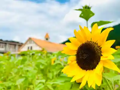 洲原神社(岐阜県)
