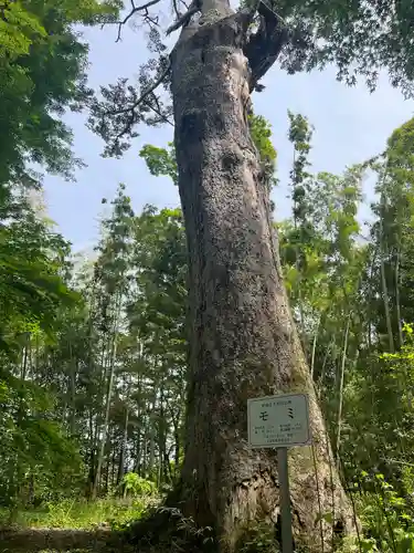大長寿院(岩手県)