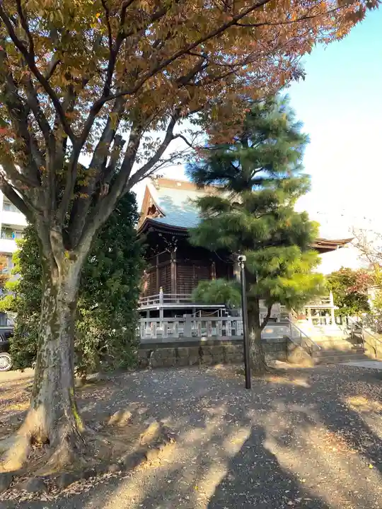大棚・中川杉山神社の自然