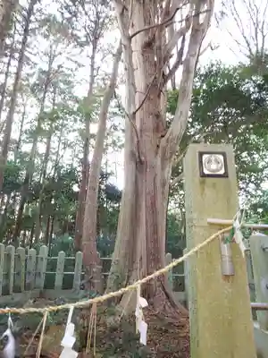 山中八幡宮(愛知県)