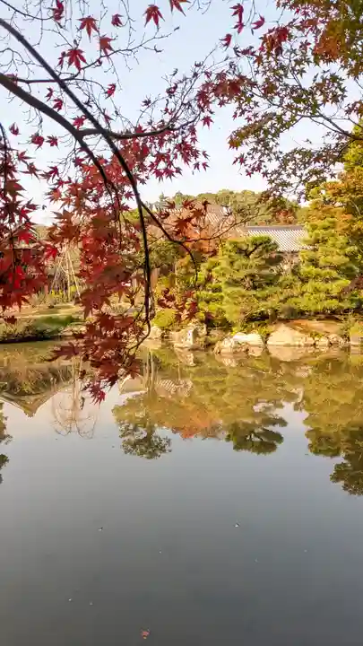 法金剛院(京都府)