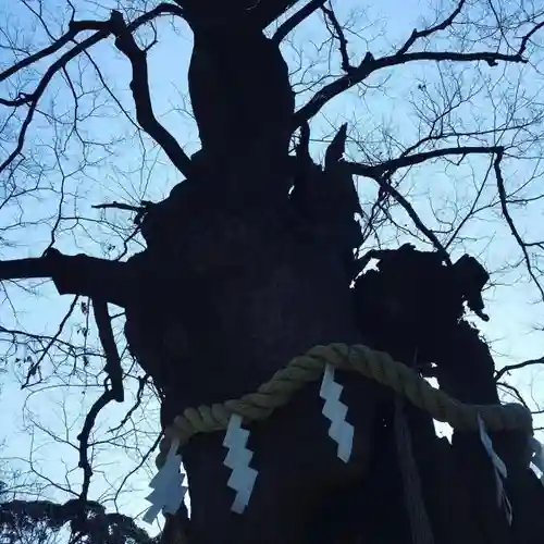 新田神社の自然