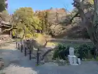 回春院の{uncategorized: "未分類", other: "その他", undefined: "問題あり", building: "その他建物", grave: "お墓", sacred_gate: "鳥居", guardian: "狛犬", statue: "像", buddha: "仏像", history: "歴史", nature: "自然", garden: "庭園", animal: "動物", pagoda: "塔", temizu: "手水舎", mountain_gate: "山門・神門", sanctuary: "本殿・本堂", subordinate: "末社・摂社", art: "芸術", scenery: "景色", jizo: "地蔵", ema: "絵馬", goshuin: "御朱印", omikuji: "おみくじ", items: "授与品その他", amulet: "お守り", goshuincho: "御朱印帳", eats: "食事", festival: "お祭り", votive_dance: "神楽", shichigosan: "七五三参", wedding: "結婚式", experience: "体験その他", initially: "初詣", around: "周辺", anti_infection: "感染症対策"}