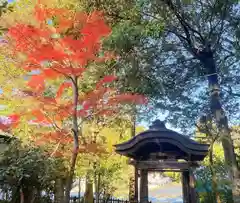 大宮八幡宮の建物その他