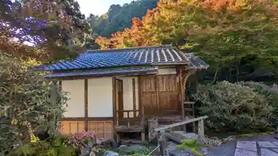 古知谷阿弥陀寺(京都府)