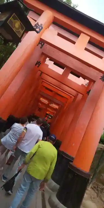 伏見稲荷大社(京都府)