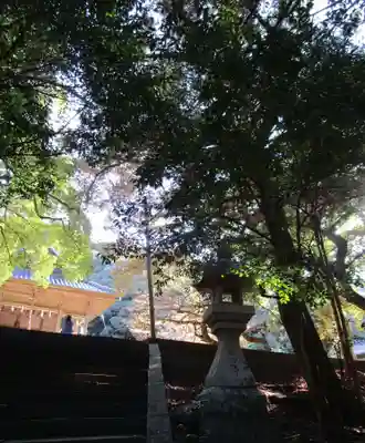 海神神社(長崎県)