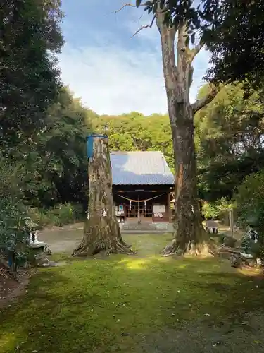 一之宮神社の建物その他