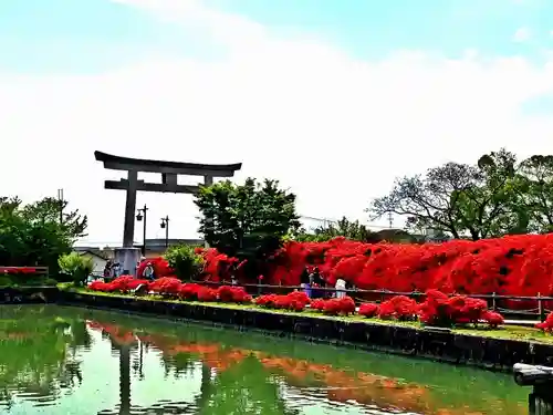 長岡天満宮の庭園