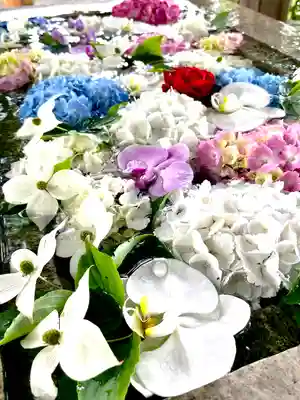 糀谷八幡宮(埼玉県)