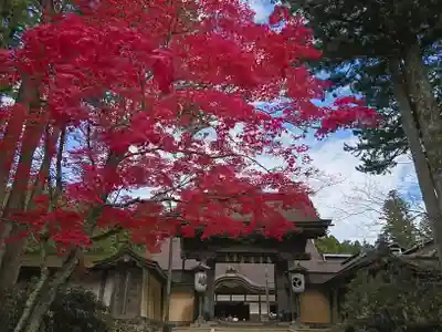 壇上伽藍の山門・神門