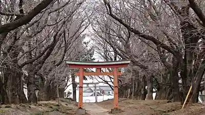 東蕗田天満社のその他建物