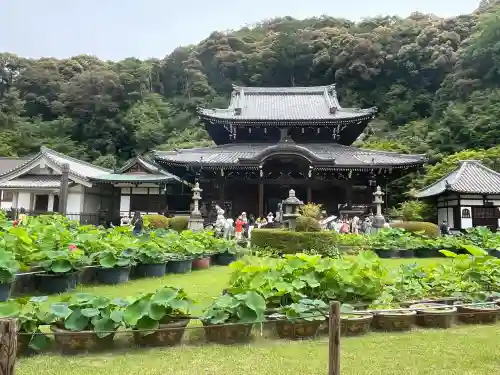 三室戸寺(京都府)