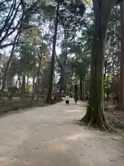 小御門神社(千葉県)