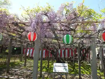 惣社神社のその他建物