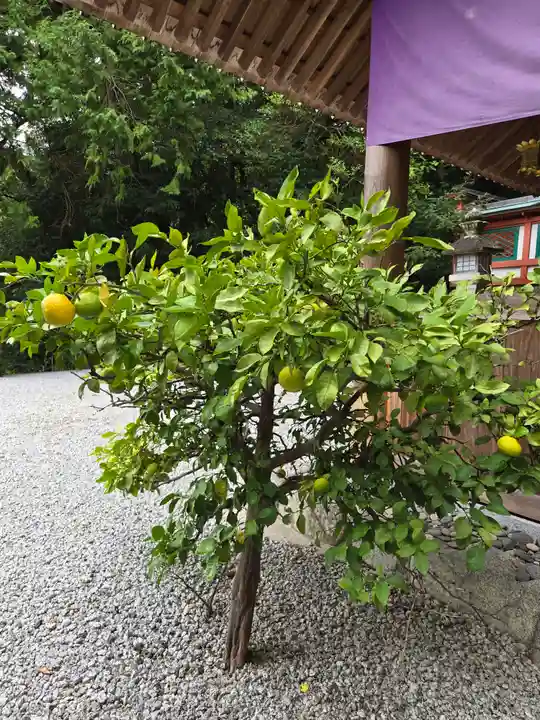 高鴨神社(奈良県)