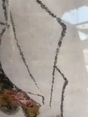 相国寺（相国承天禅寺）(京都府)