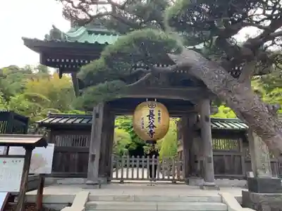 長谷寺の山門・神門