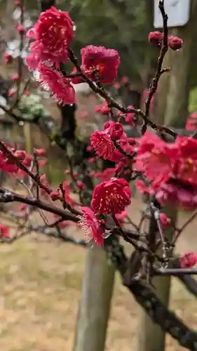 長岡天満宮(京都府)