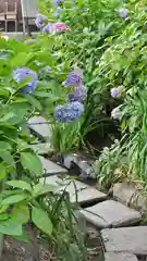 藤森神社の庭園