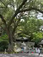 事任八幡宮(静岡県)