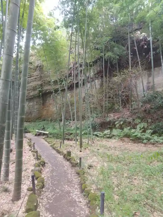 英勝寺(神奈川県)