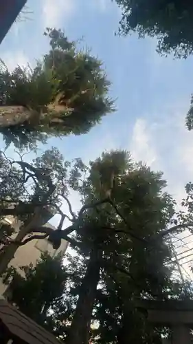 松庵稲荷神社(東京都)