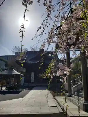 覚林寺のその他建物