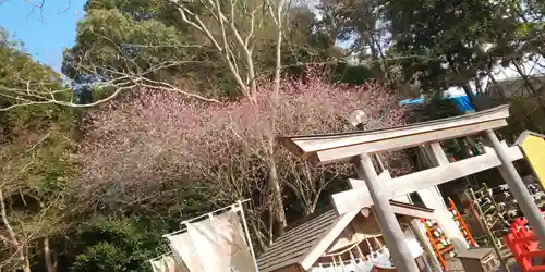 出雲大神宮の鳥居