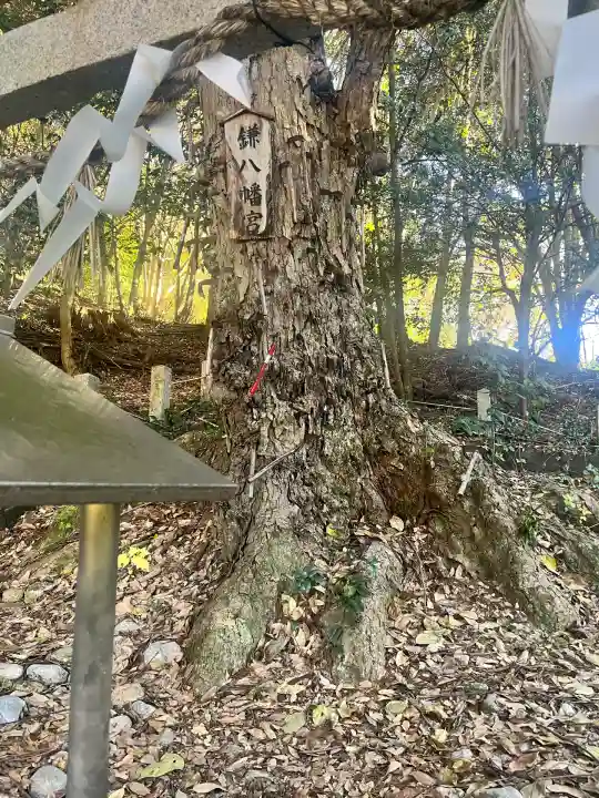 鎌八幡宮(和歌山県)
