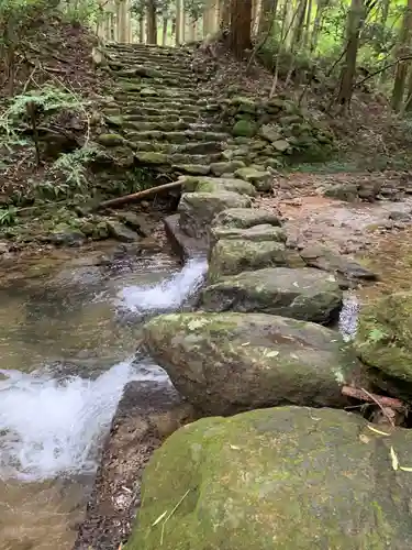 鰐淵寺の自然