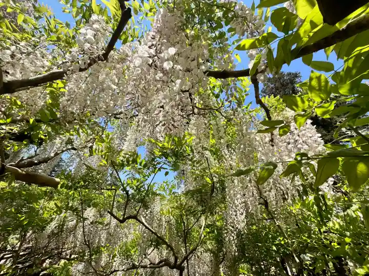 歌泉堂(春日大社神苑萬葉植物園内鎮座)(奈良県)