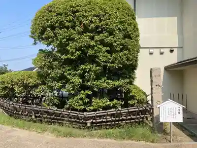 柿本神社(兵庫県)