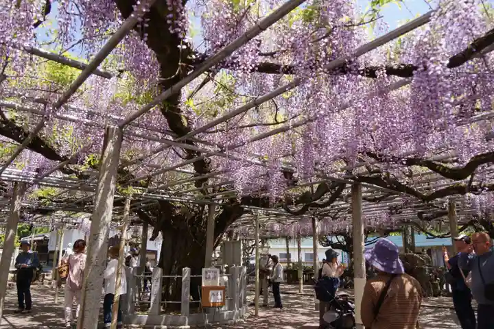 大歳神社(兵庫県)