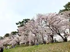 菅生神社の景色