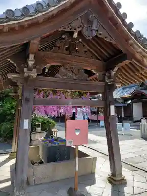 柳谷観音 楊谷寺(京都府)